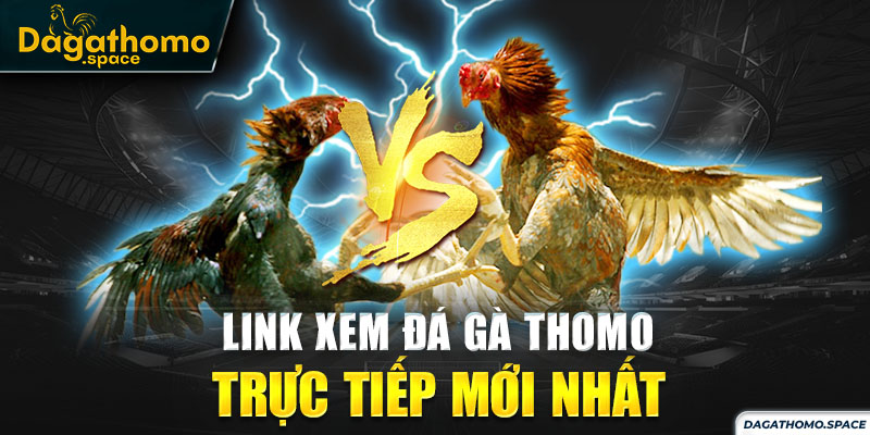 Cập nhật link xem đá gà Thomo trực tiếp chuẩn xác