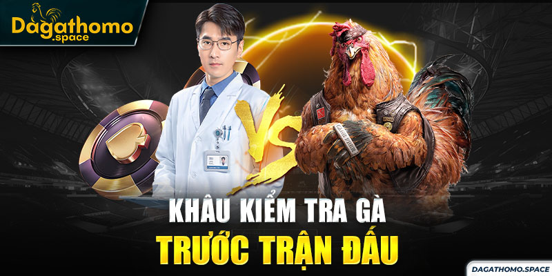 Khâu kiểm tra đá gà Thomo trước trận