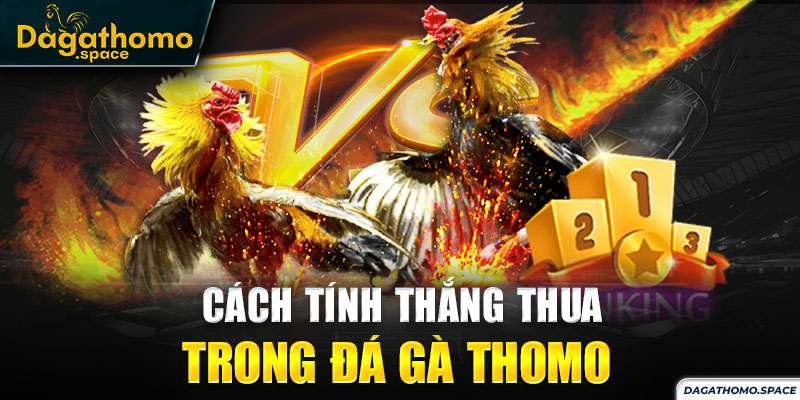 Chi tiết cách tính thắng thua trong đá gà Thomo