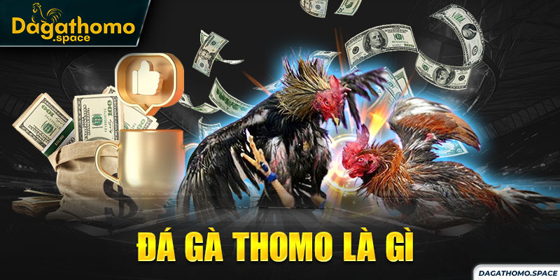 Thông tin tổng quan về đá gà Thomo