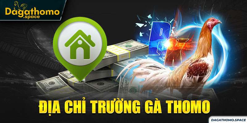 Trường gà Thomo hợp pháp, quy mô rộng lớn