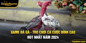 Game Đá Gà - Trò Chơi Cá Cược Đỉnh Cao Hot Nhất Năm 2024