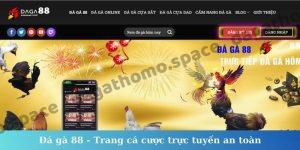 Đá gà 88 - Trang cá cược trực tuyến an toàn