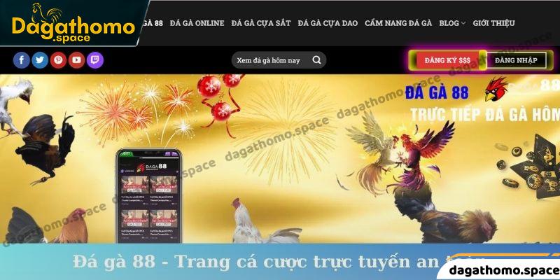 Đá gà 88 - Trang cá cược trực tuyến an toàn