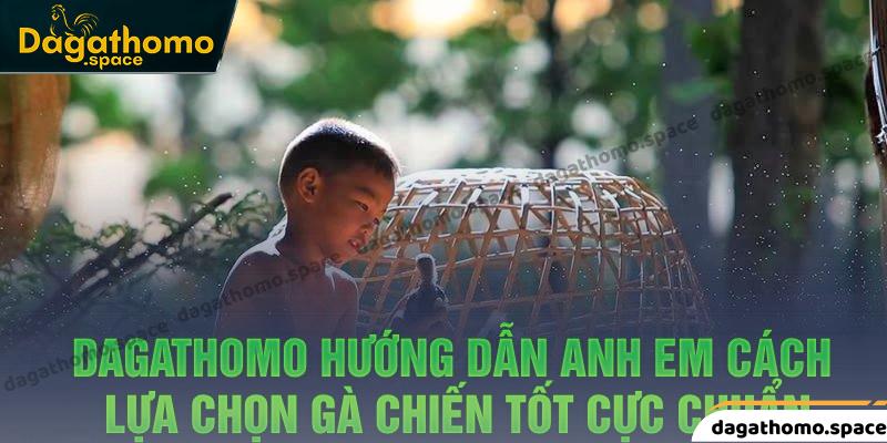 Hướng dẫn anh em cách lựa chọn gà chiến tốt cực chuẩn