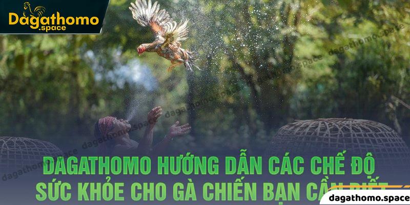 Hướng dẫn các chế độ sức khỏe cho gà chiến bạn cần biết