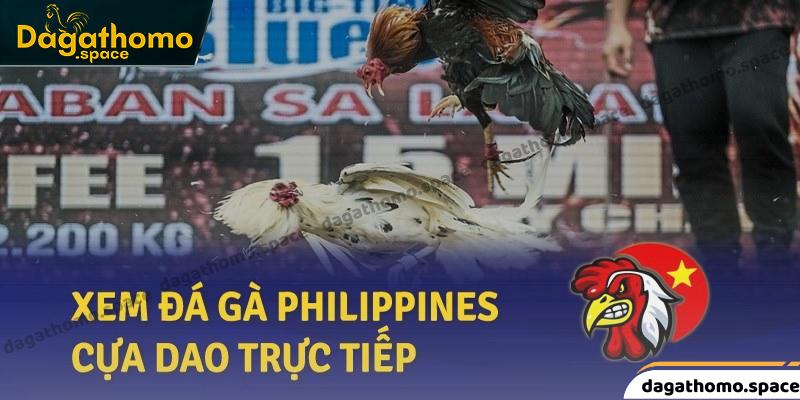 Giới thiệu khái quát về các trường gà Philippines