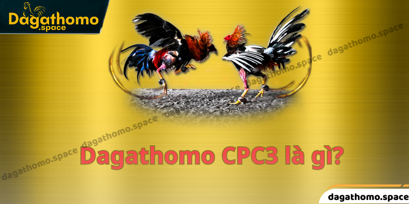 Xem Dagathomo CPC3 trực tiếp ngay tại nhà