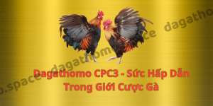 Dagathomo CPC3 - Sức Hút Hấp Dẫn Trong Giới Cược Gà