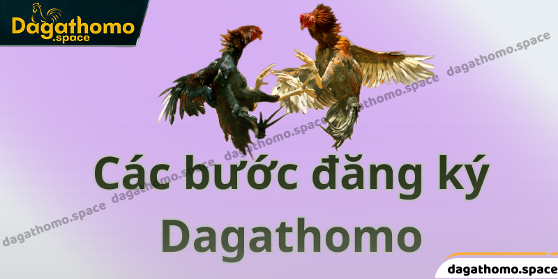 Chia sẻ bài bản các bước đăng ký Dagathomo