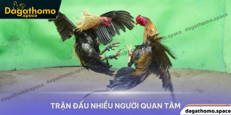 Những trận đấu siêu hot tại 123win được nhiều người quan tâm